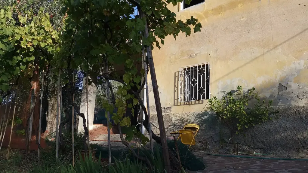 Extérieur - Rustic House with Olive Grove in Vicopisano
