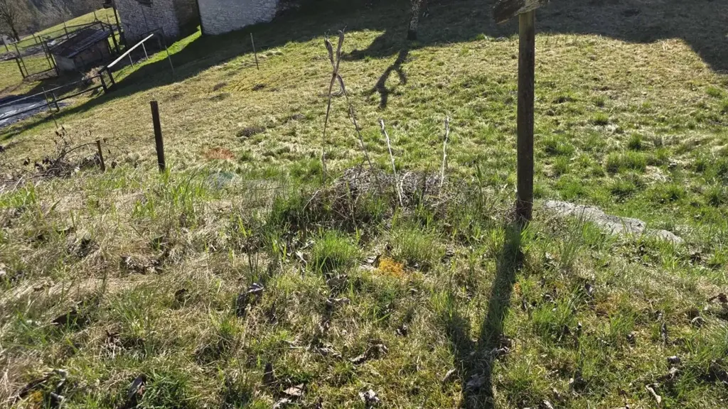 Jardin - Semi-detached House with Garden in Lamon