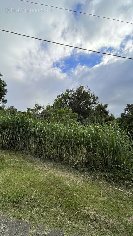 Aed - Buildable Land in La Confiance, Sainte-Marie