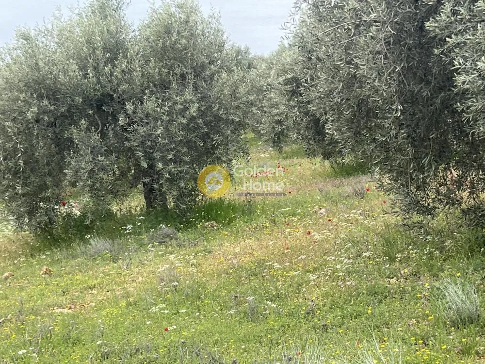 Land in GR