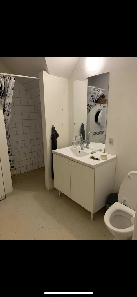 Vannitoad - Renovated Room in Aalborg Centre