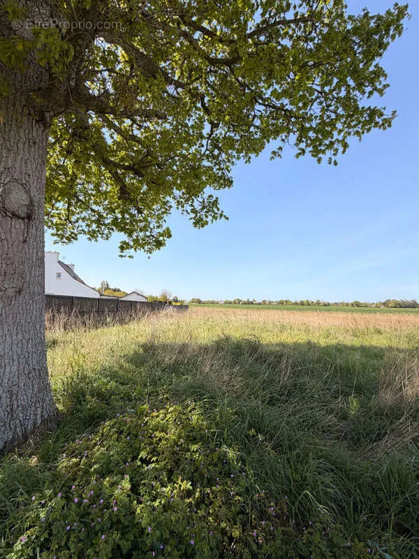 Aed - Constructible Plot with Garden in Saint-Alban