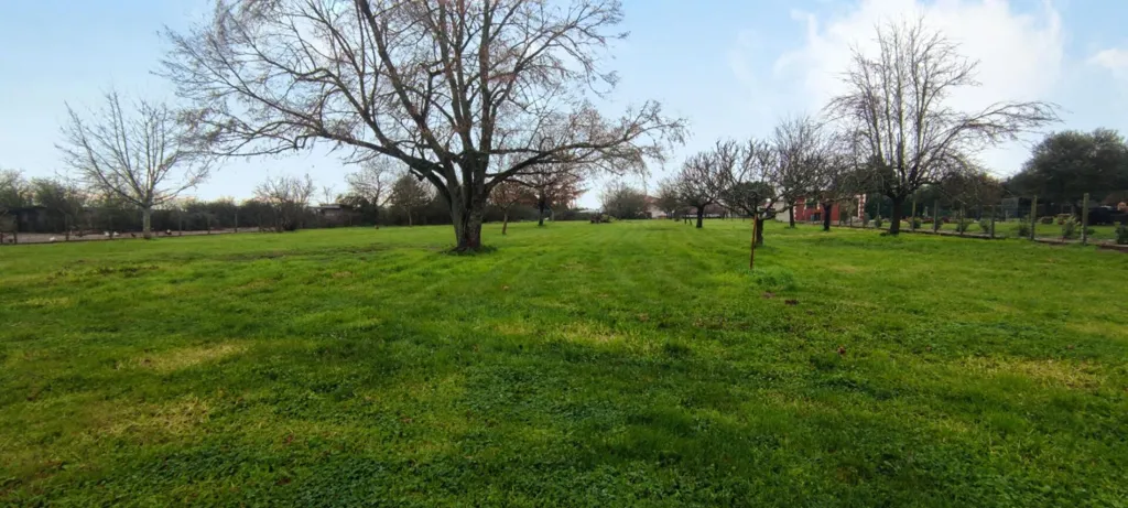 Jardin - Terrain Constructible en Centre de Commune