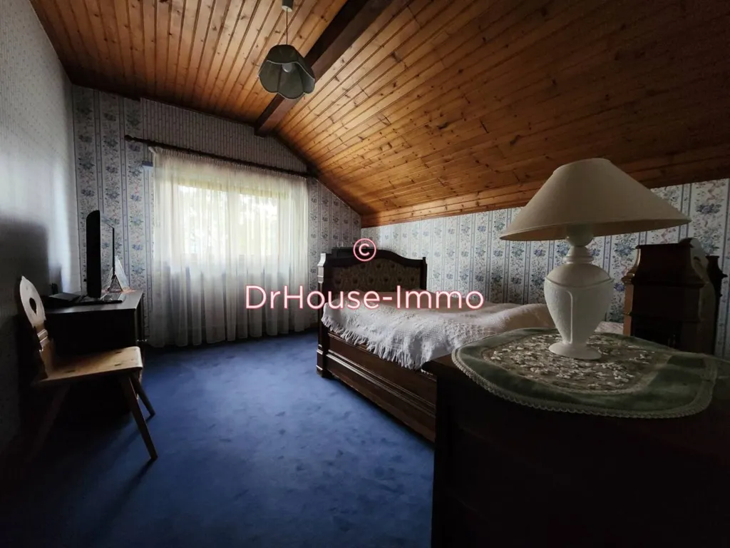 Camere da letto - Spacious House with Garden in Blodelsheim