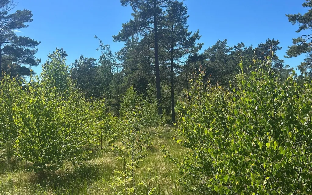 Aed - Vacation Plot with 5G Coverage in Læsø