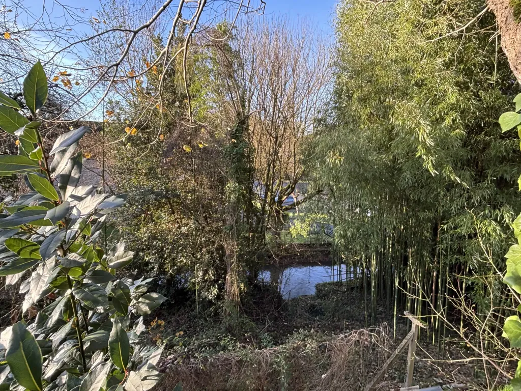 Aed - Character House with River Access in Vouillé