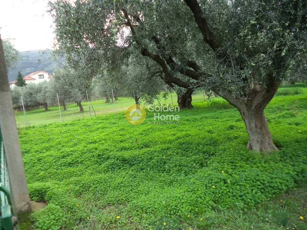 Land in GR