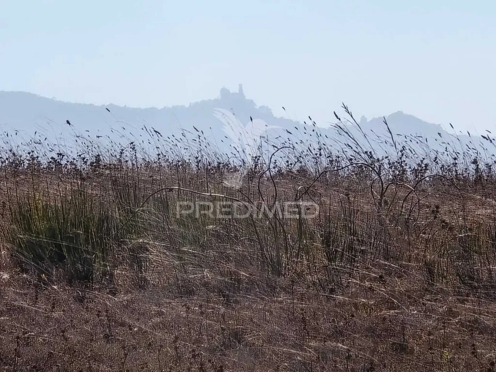 Rustic Land with Approved Project in Mafra