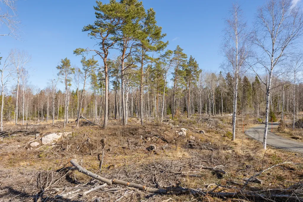 Jardin - Unbuilt Plot with Sea Access in Västerbyn