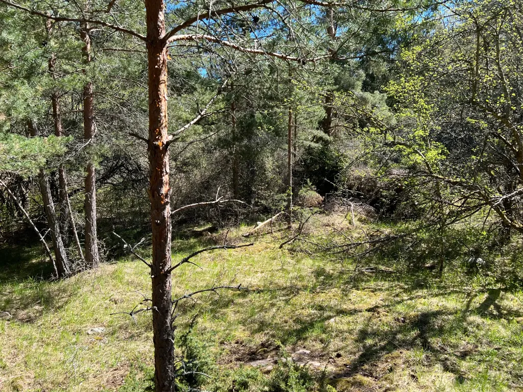 Aed - Plot for Dream Home with Water Access in Kungsborg