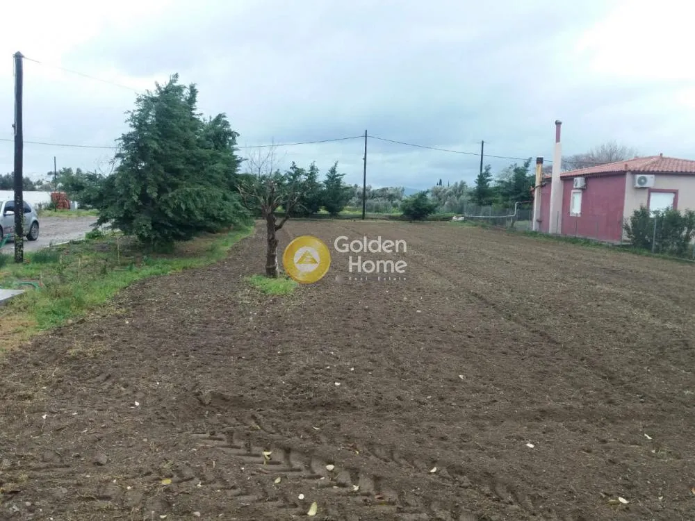 Giardino - Plot with Sea View in Lianthio - Leukantia