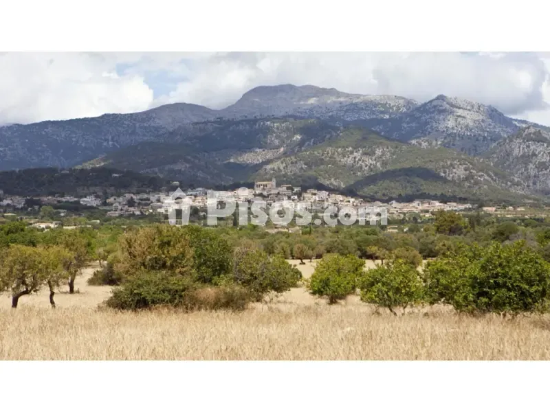 Rustic Finca with Serra de Tramuntana View in Selva