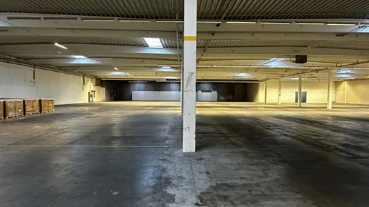 Toad - Warehouse Space with Strategic Access in Kolding