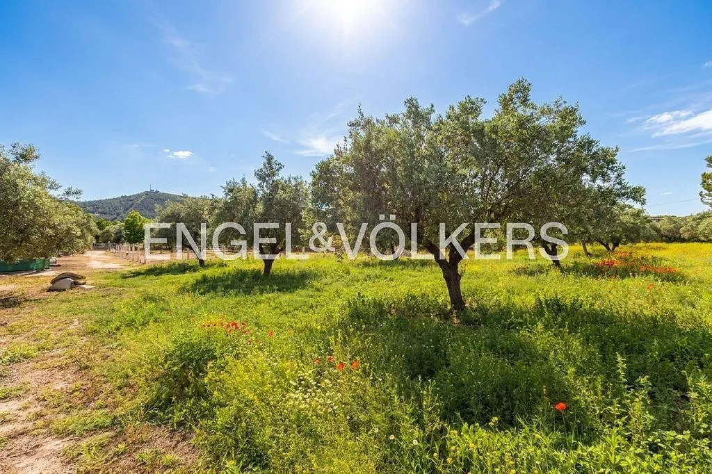 Aed - Equestrian Estate with Pool in Enguera