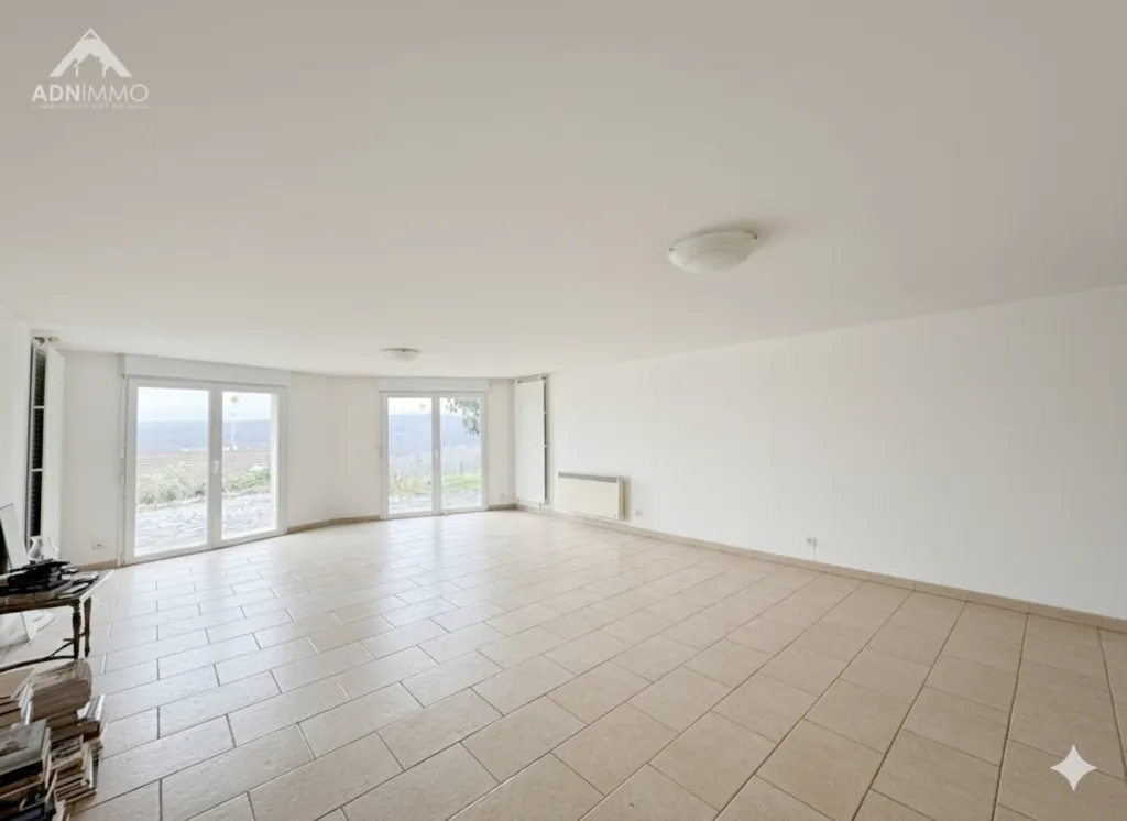 Séjour - Maison individuelle avec terrasse sud à Pougny