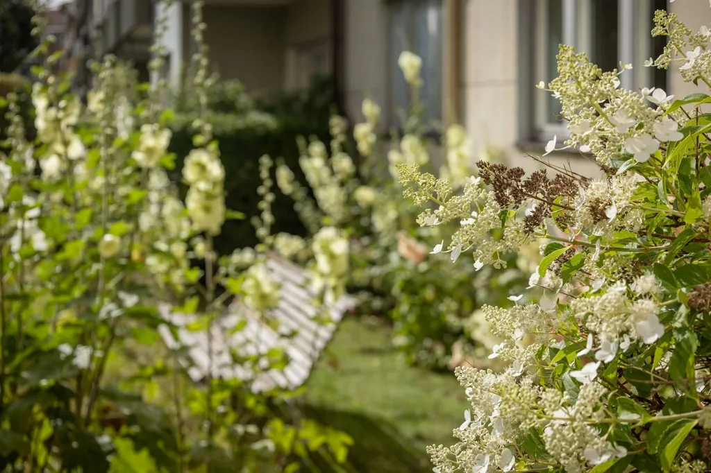 Garden - Studio Flat with Garden in Stockholm