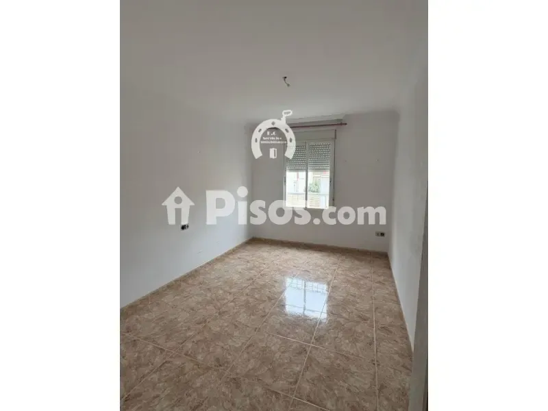 Toad - Spacious Apartment with Garden Access in Elche