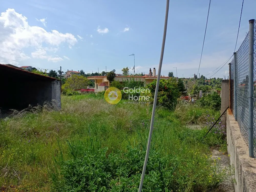 Jardin - House with Mountain View in Markopoulo, Eastern Attica