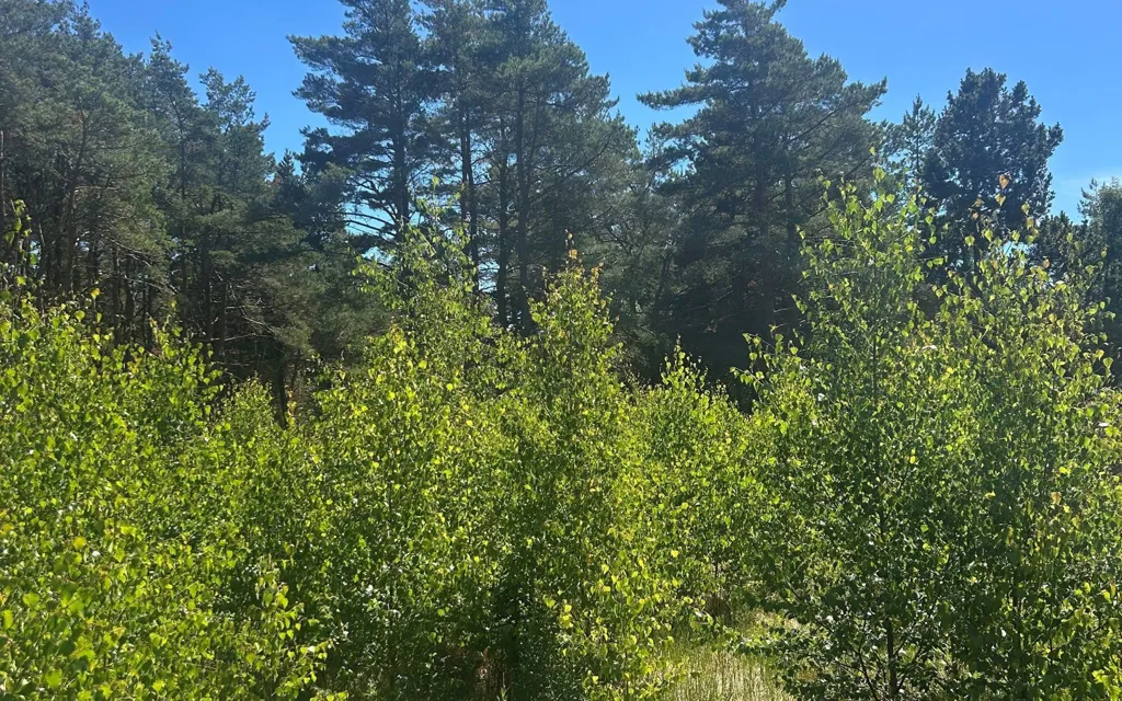 Aed - Vacation Plot with 5G Coverage in Læsø