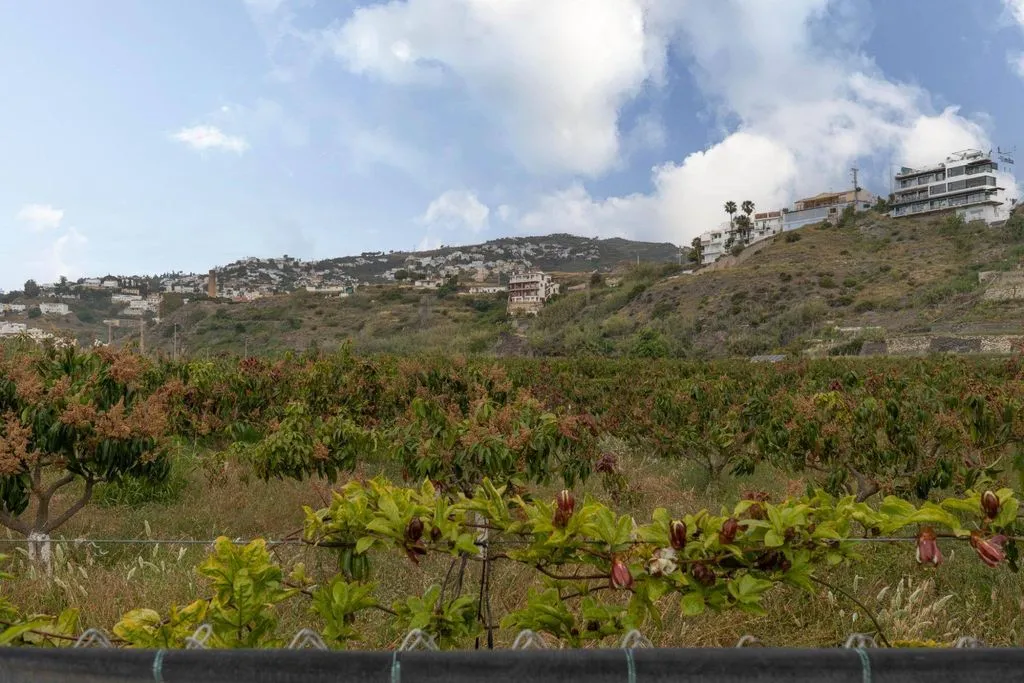 Aed - Development Land with Sea View in Salobreña