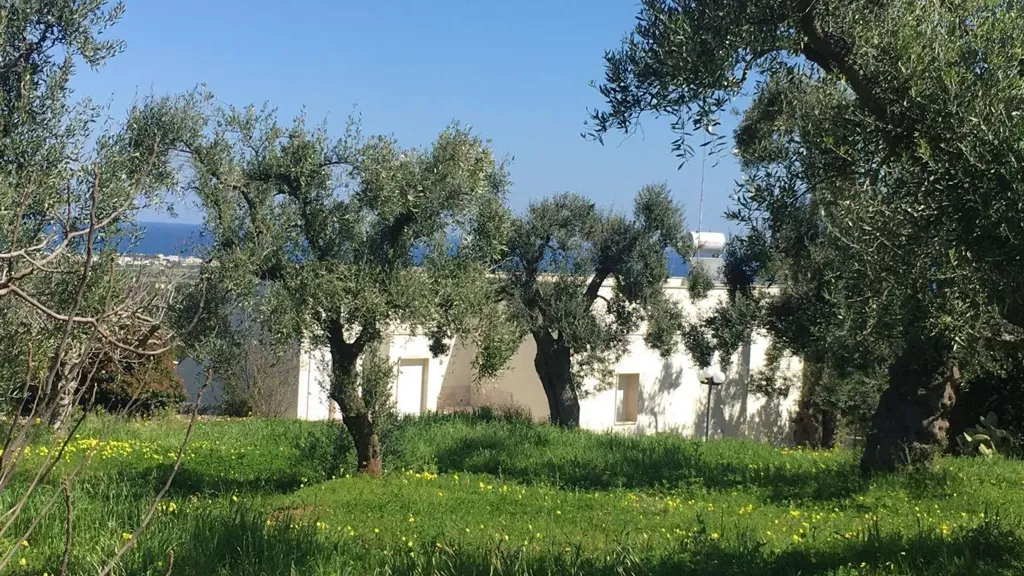 Aed - Villa with Sea View near Carovigno