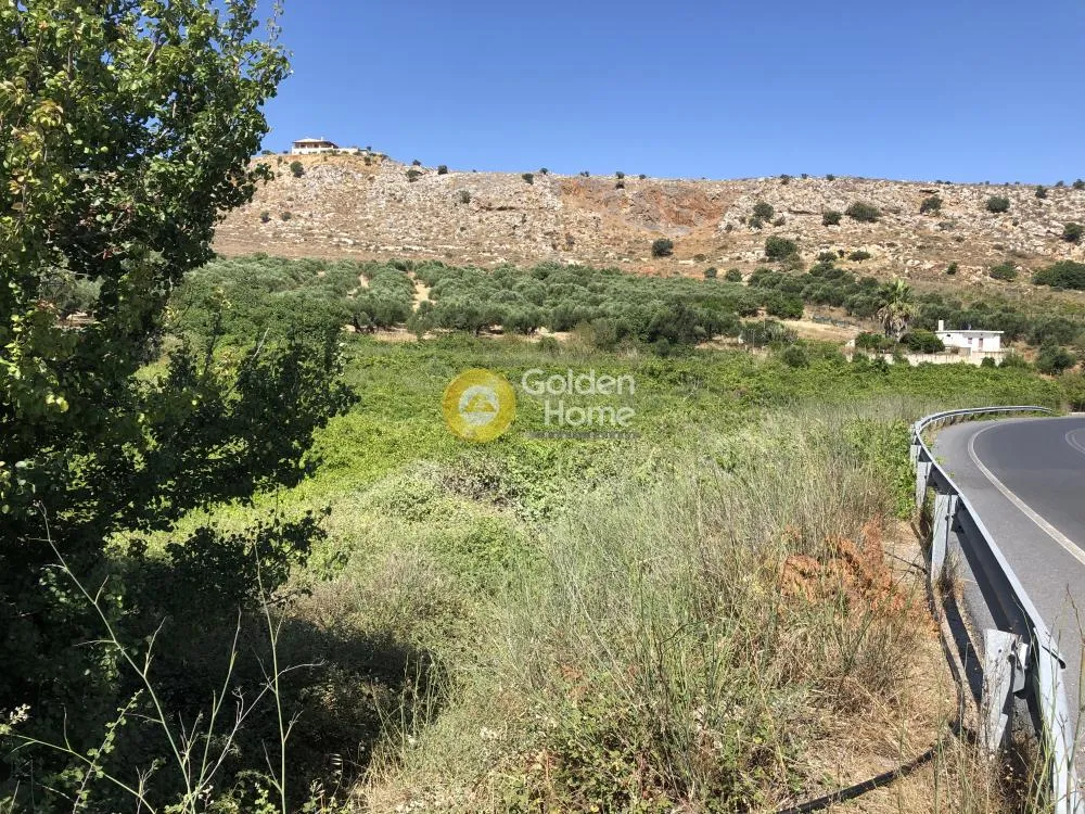Jardin - Commercial Plot with Sea View in Elia