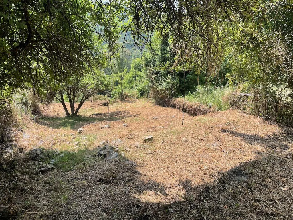 Aed - Constructible Plot with South View in Evisa