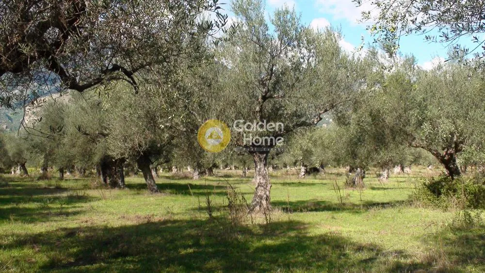 Jardin - Agricultural Plot with Castle View in Mystra