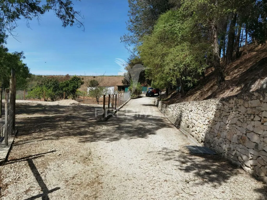 Jardin - Quinta with Olive Grove in Torre do Bispo
