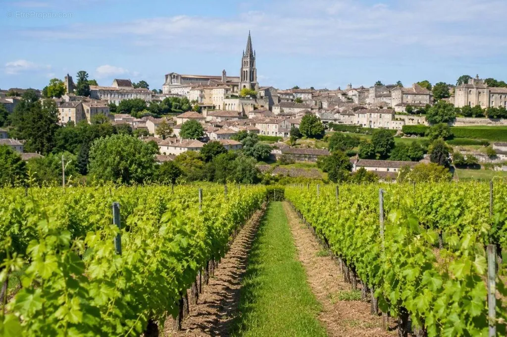 Vineyard Plot with Bio Cultivation in Saint-Sulpice-De-Faleyrens