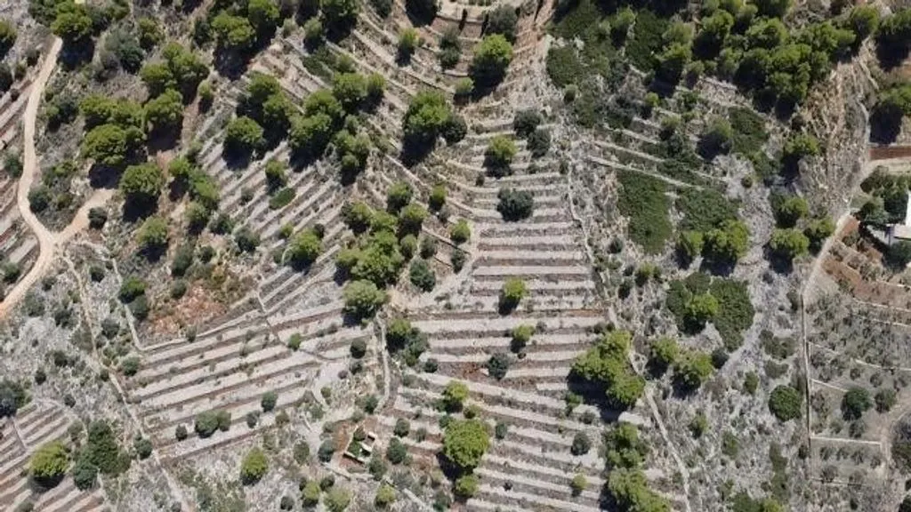 land_plot