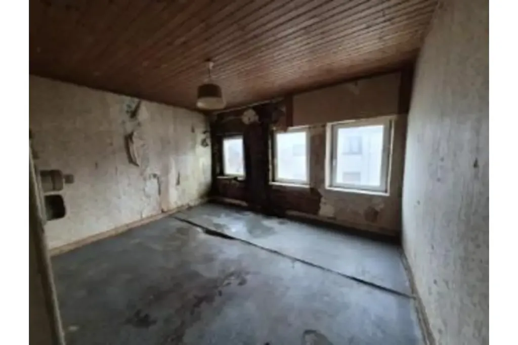 Toad - Renovation Project House in Milmort