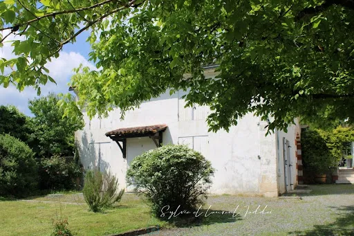 Exterior - Luxury Manor with Pool in Bordeaux Region