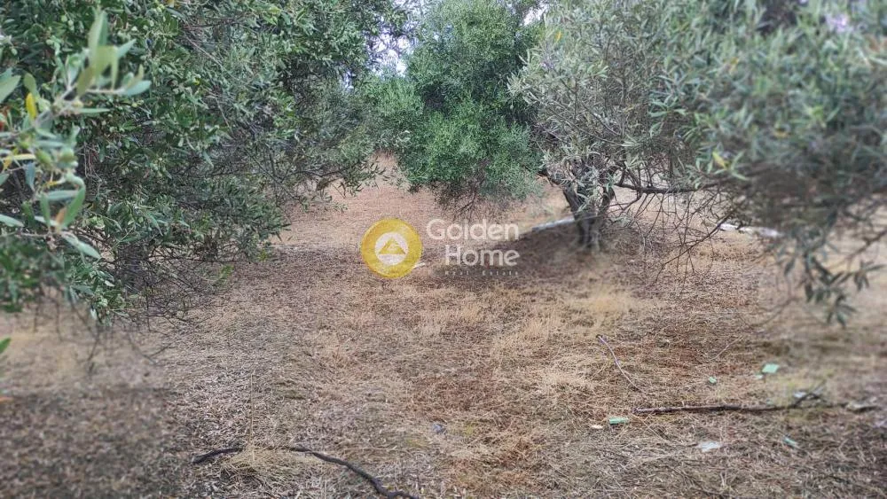 Jardin - Plot with Panoramic Sea View in Agios Vlasis