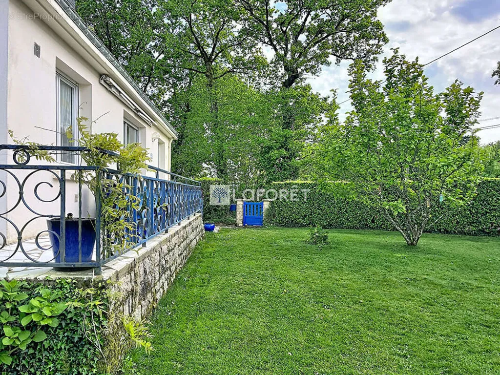 garden