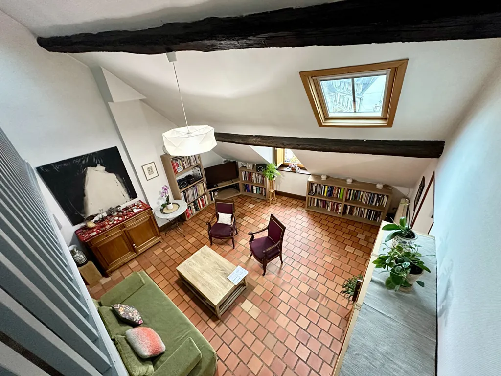 Séjour - Appartement Duplex avec Vue Dégagée à Blois