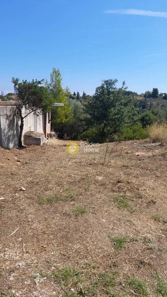 Jardín - Semi-Finished Villa with Garden in Rafina Centre
