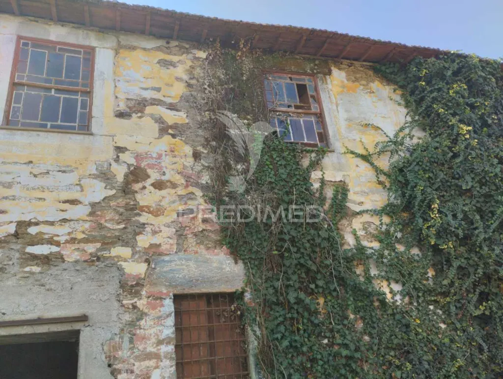 Välivaade - House with Land for Investment in D'Ouro