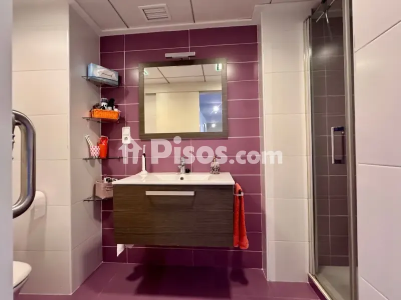 Salles de bain - Reformed Flat with Balcony in La Alberca