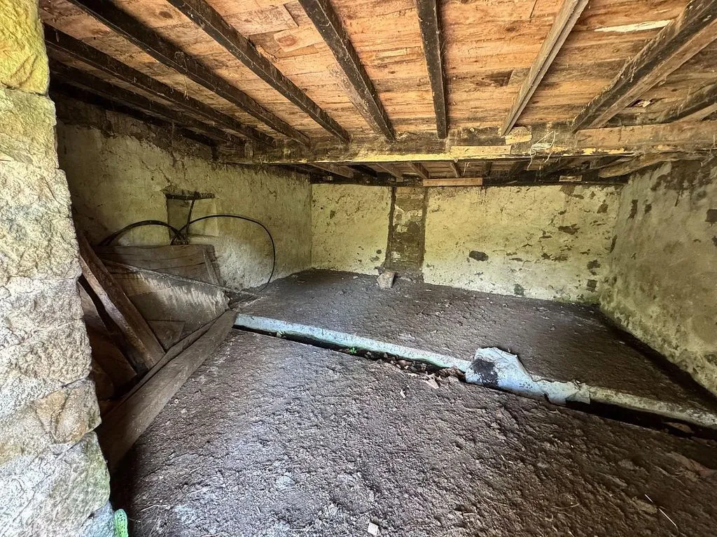 Toad - Rustic Stone House with Farm in Infiesto