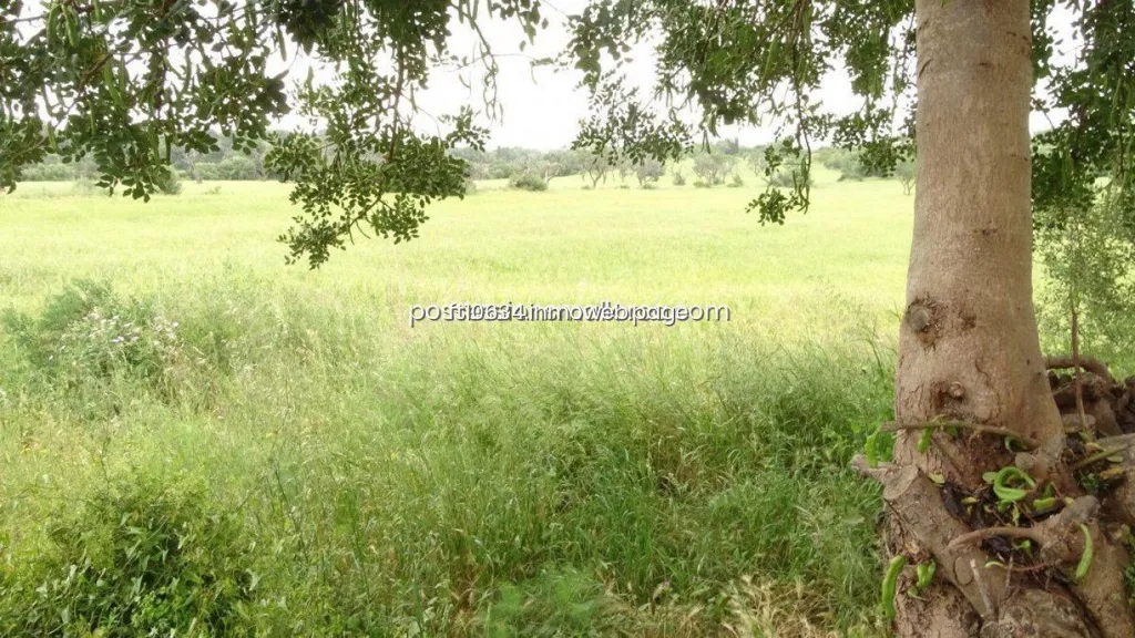 Garden - Rustic Plot with Panoramic Views in Llucmajor