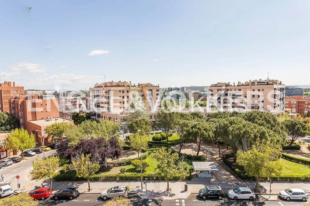 Terraced House with Pool in Palomas