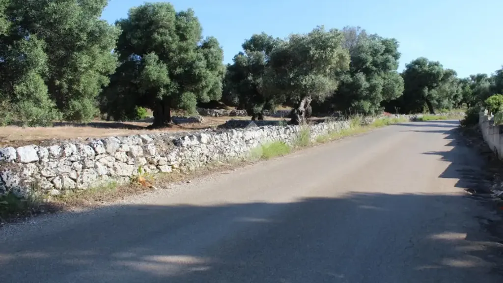 Extérieur - Rustic Farmhouse with Pool Potential in Carovigno