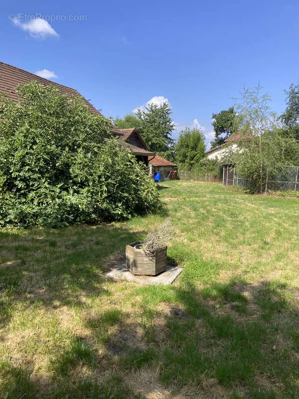 Aed - Longère with Dependencies in Countryside
