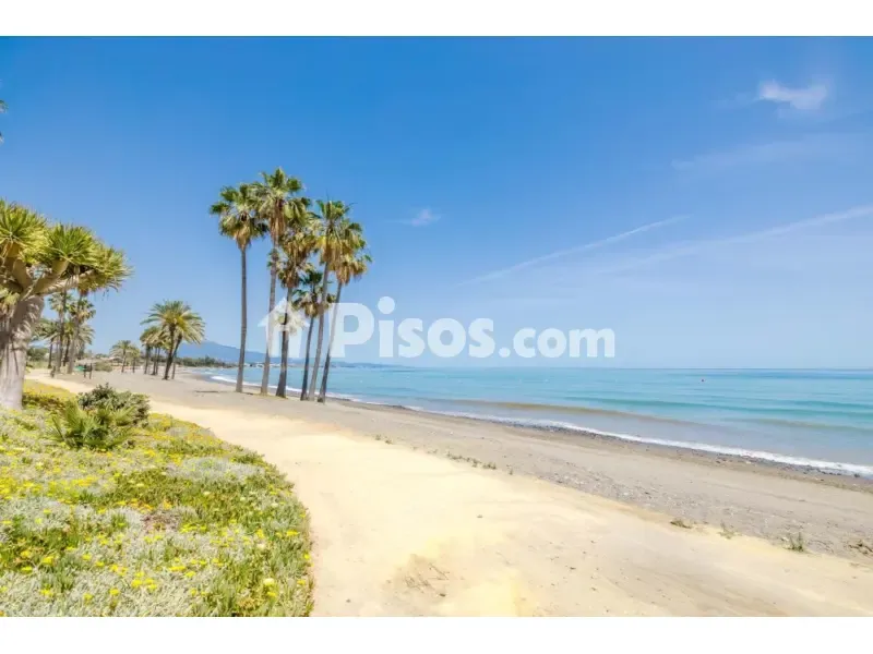 Luxury Apartment with Jacuzzi Terrace in Estepona