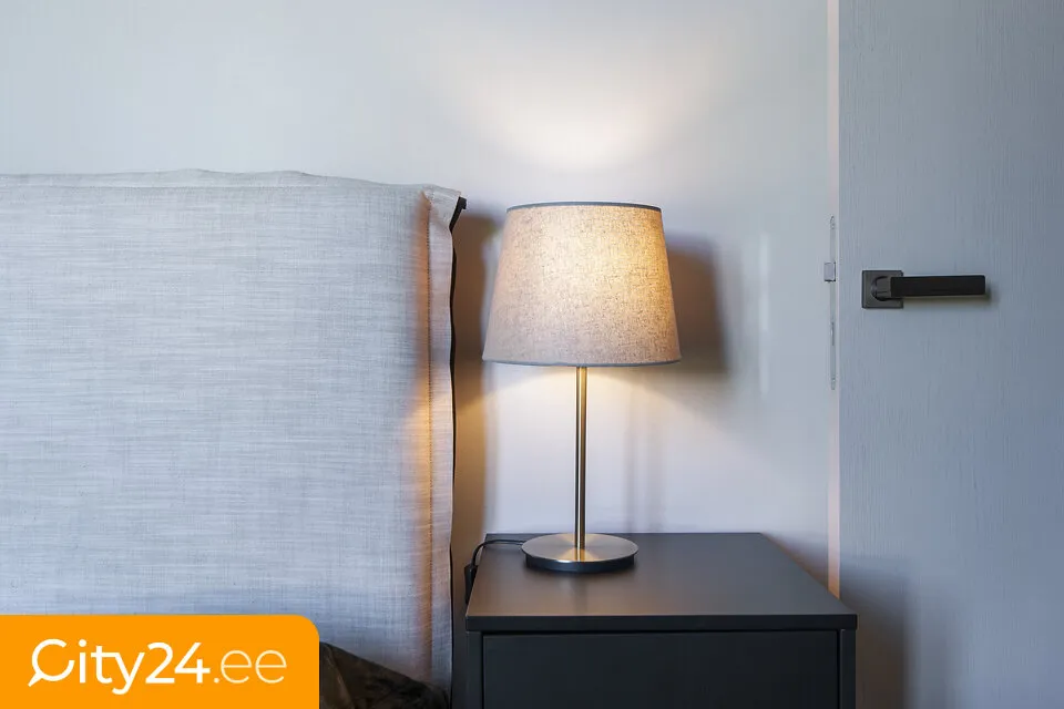 Magamistoad - 3-Bedroom Apartment with Terrace in Riga Centre