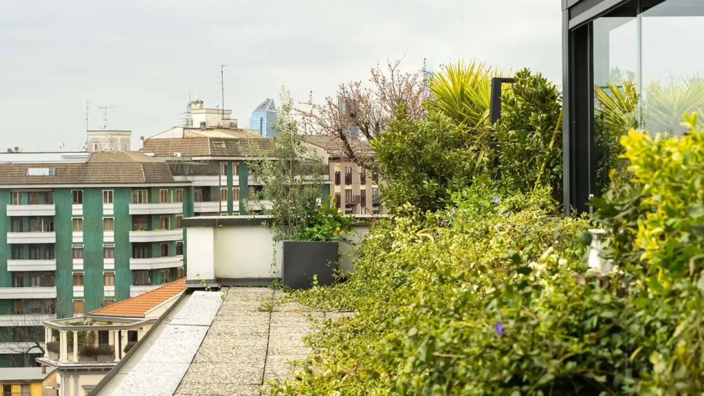 terrace_patio