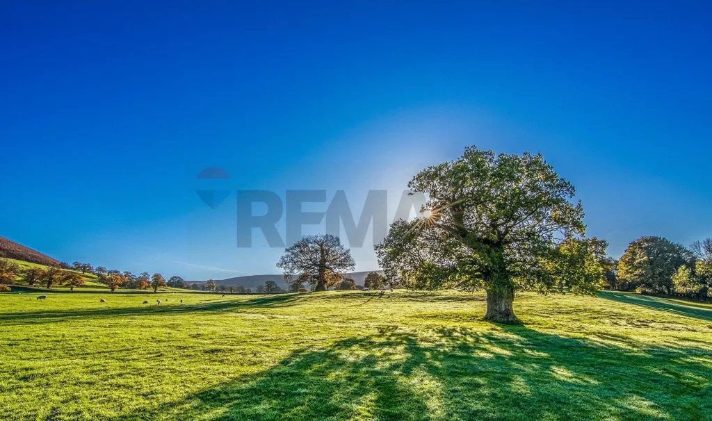 Giardino - Agricultural Land with Solar Exposure in Serravalle