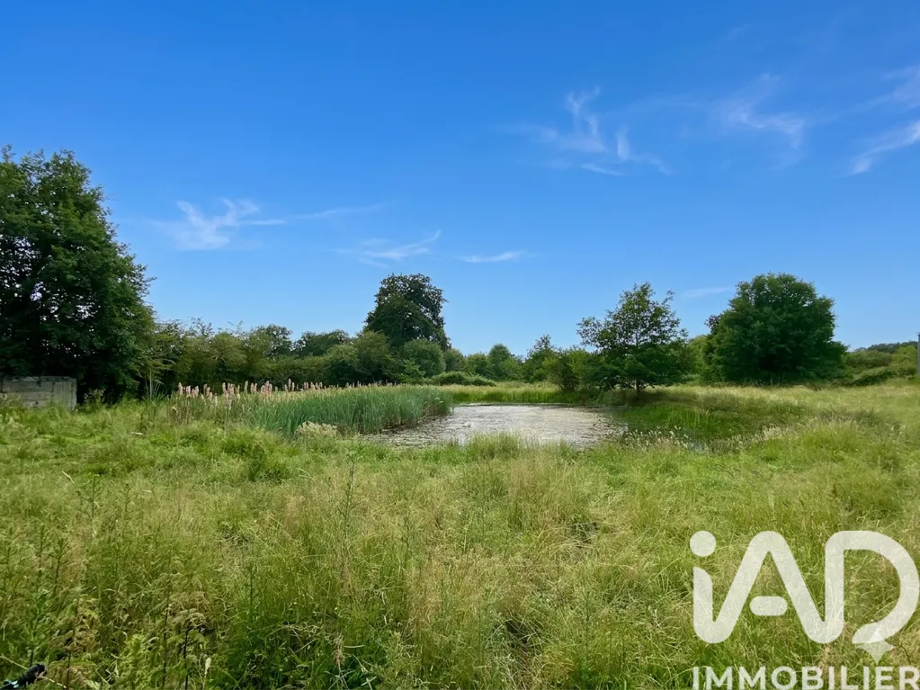 Jardin - Terrain de Loisirs avec Étang à Brée