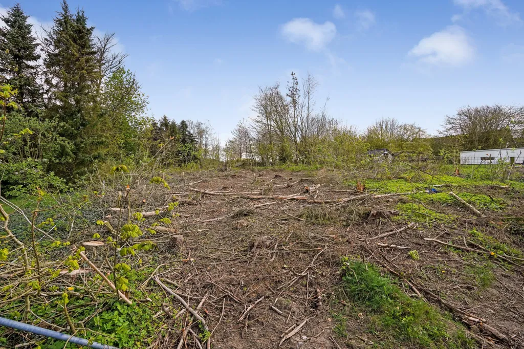 Jardin - Year-Round Plot with 4G Coverage in Østbirk